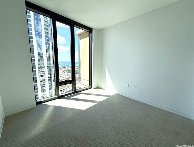 unfurnished room featuring baseboards, carpet flooring, floor to ceiling windows, and a water view