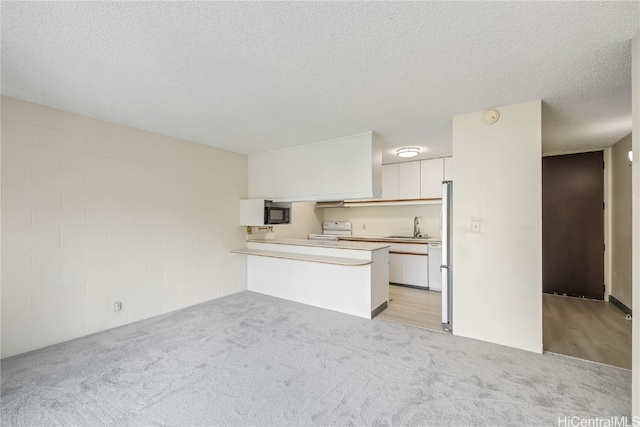 unfurnished living room with light carpet, a textured ceiling, and sink