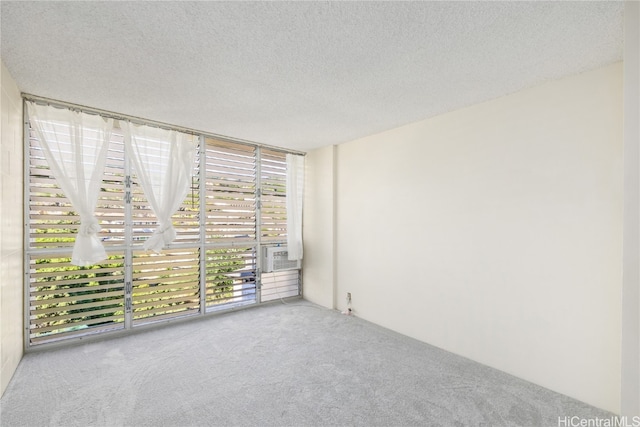 carpeted spare room featuring a textured ceiling and a healthy amount of sunlight