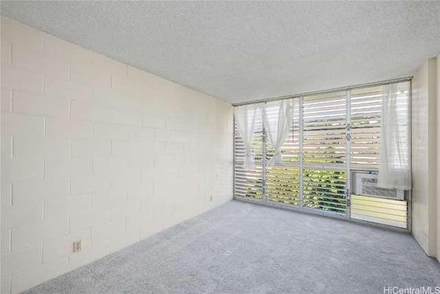 carpeted empty room featuring a textured ceiling