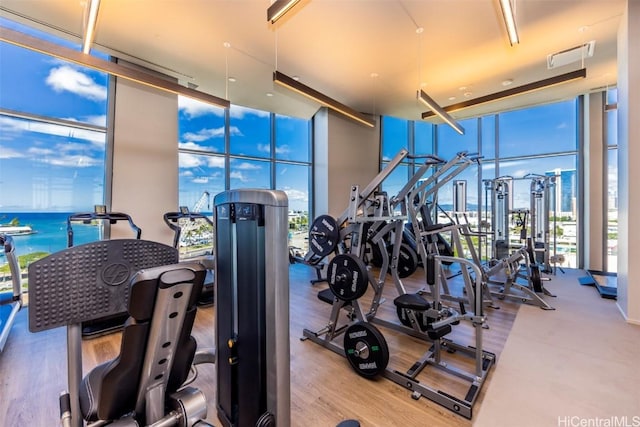 workout area featuring expansive windows, wood finished floors, and visible vents