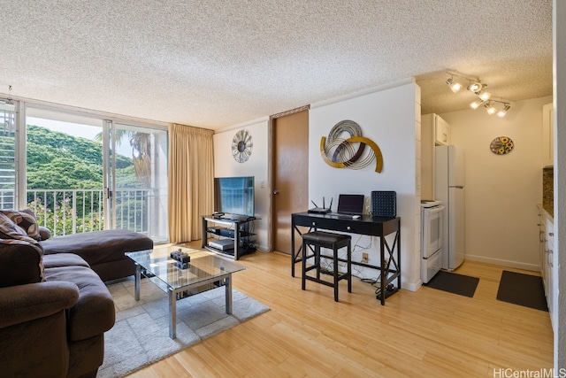 living room with a textured ceiling and light wood-type flooring