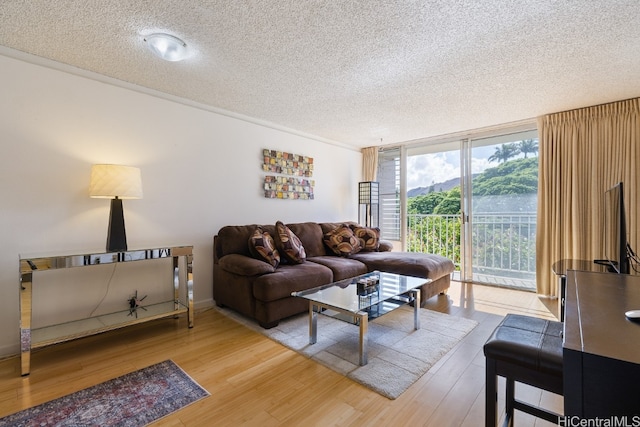 living room with a textured ceiling and light wood-type flooring