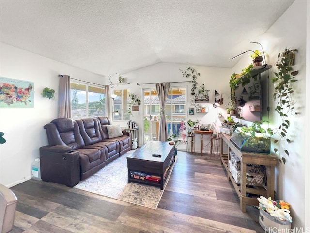 living room featuring a textured ceiling, vaulted ceiling, and dark wood-type flooring