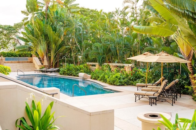 view of swimming pool with a patio area