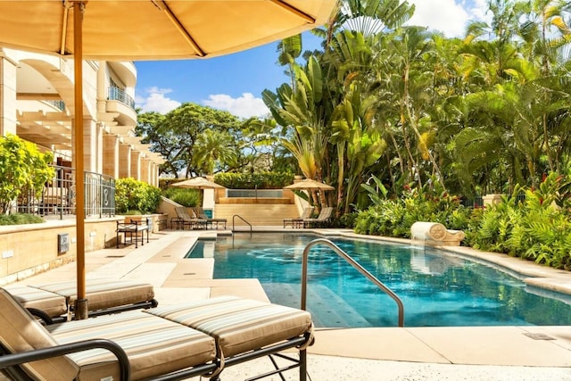 view of pool featuring a patio