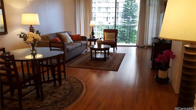 living room featuring wood-type flooring