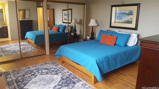 bedroom with a closet and wood-type flooring