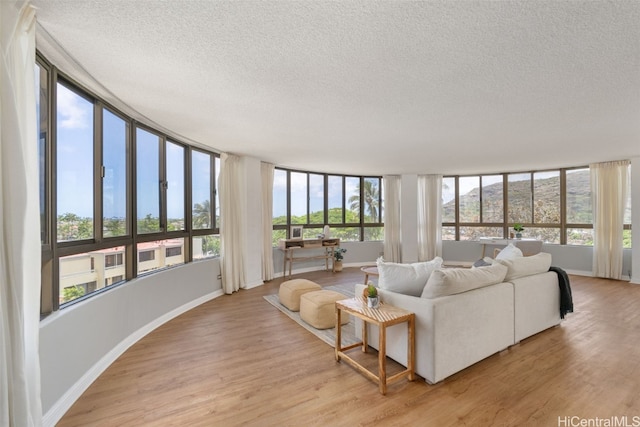 living room with light hardwood / wood-style floors, a textured ceiling, and a healthy amount of sunlight