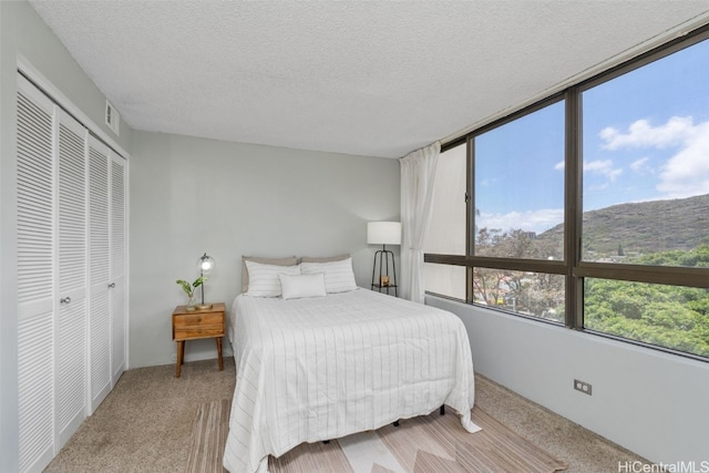 bedroom with light carpet, a textured ceiling, and a closet