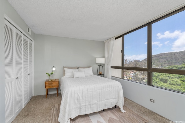 6770 Hawaii Kai Dr Unit 302, Honolulu, HI 96825 - carpeted bedroom with a textured ceiling, a closet, and a mountain view
