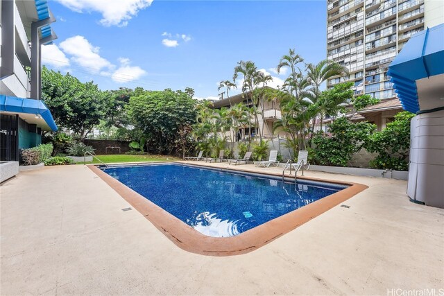 view of pool featuring a patio