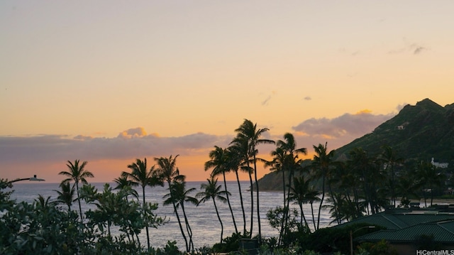 4240 Kaikoo Pl, Honolulu, HI 96816 - photo 25