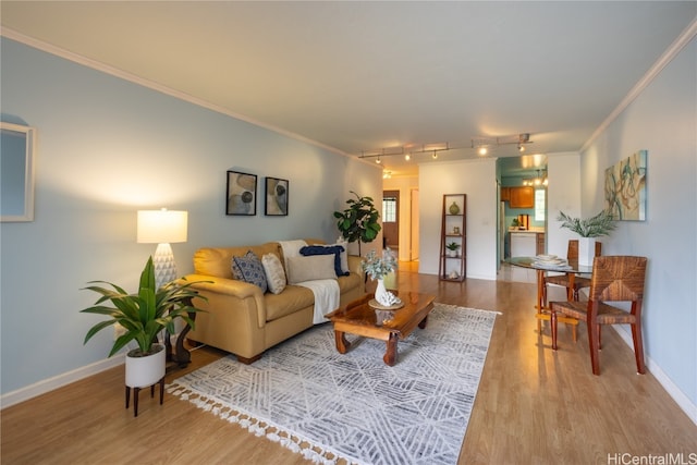 living room with track lighting, hardwood / wood-style flooring, and crown molding