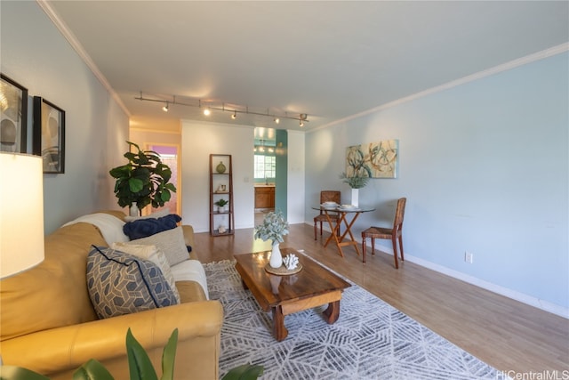 living room featuring wood-type flooring, track lighting, and crown molding