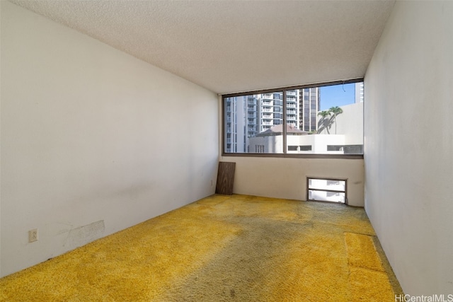 carpeted empty room with a textured ceiling and a healthy amount of sunlight