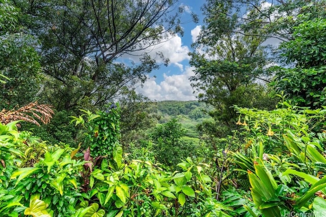 view of landscape