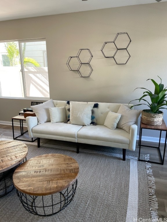 living room with wood-type flooring