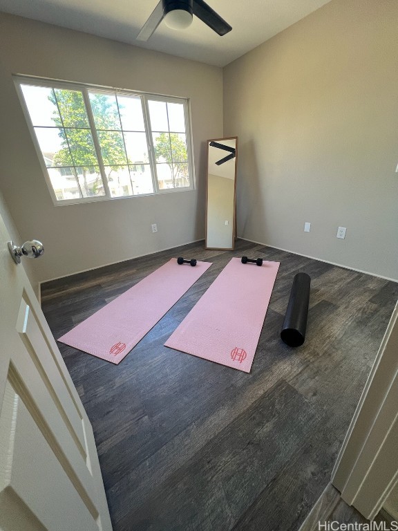 workout room with ceiling fan and dark hardwood / wood-style flooring