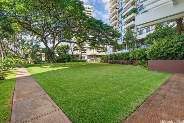 view of yard featuring a balcony