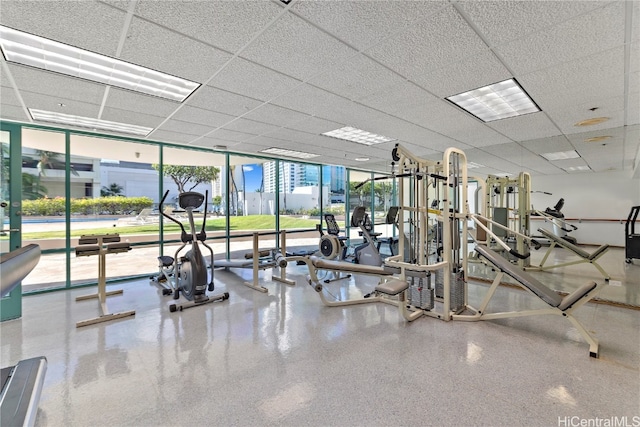 exercise room featuring a paneled ceiling and floor to ceiling windows