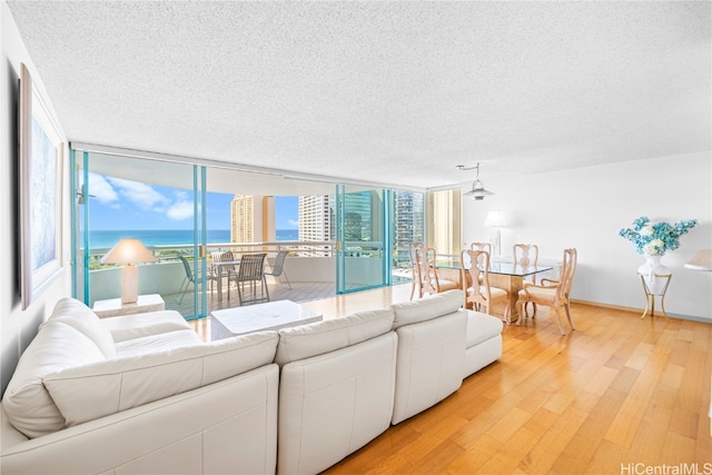 living room featuring expansive windows, light hardwood / wood-style flooring, and a textured ceiling