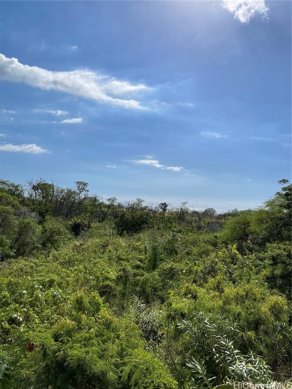 view of local wilderness