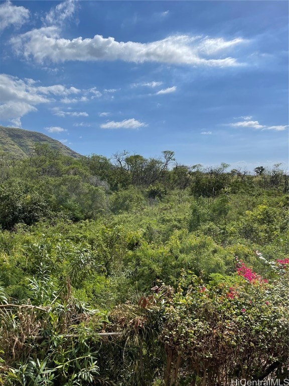 view of nature with a mountain view