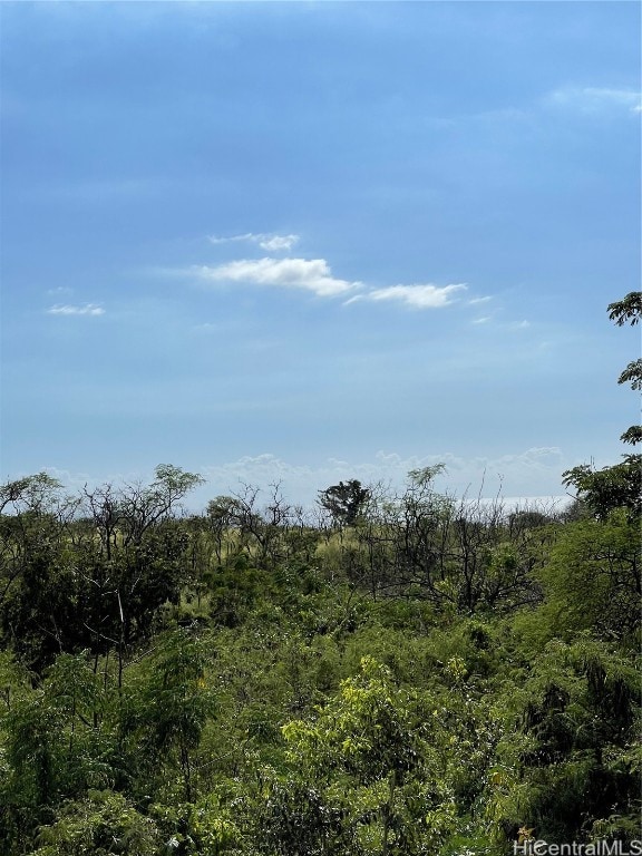 view of local wilderness