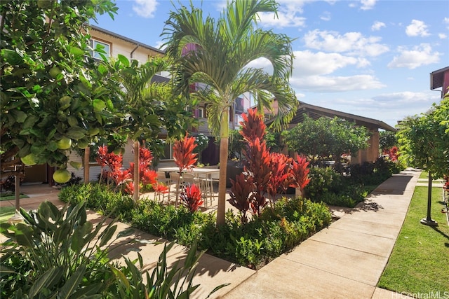 view of property's community featuring a patio area