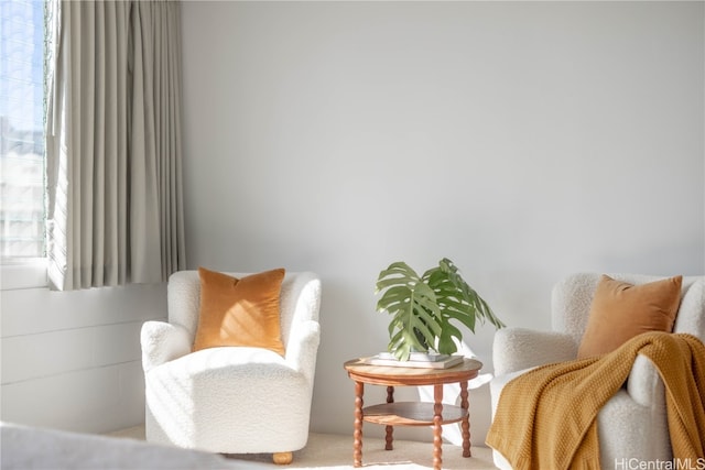 sitting room with carpet flooring