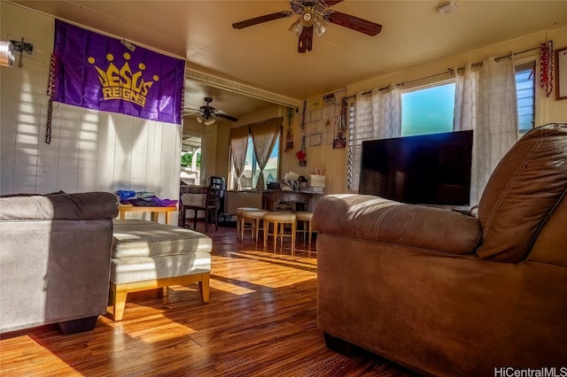 living room with ceiling fan and hardwood / wood-style flooring