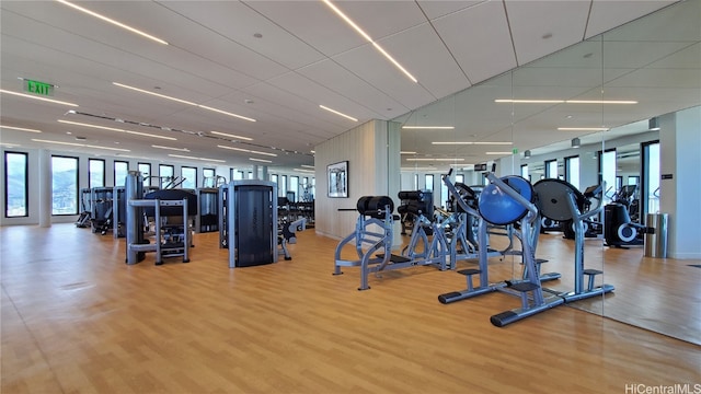 workout area with wood-type flooring