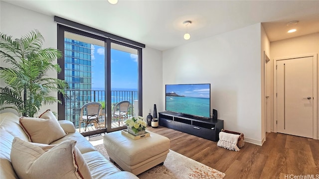 living room featuring dark hardwood / wood-style flooring, a wall of windows, and a wealth of natural light