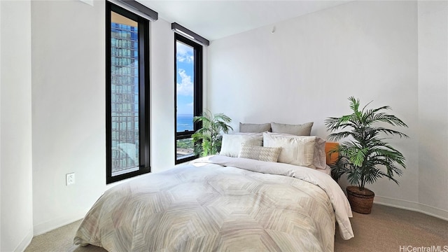 bedroom featuring carpet