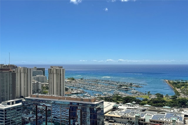 drone / aerial view with a water view