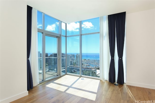 spare room featuring light hardwood / wood-style flooring, a wealth of natural light, and floor to ceiling windows