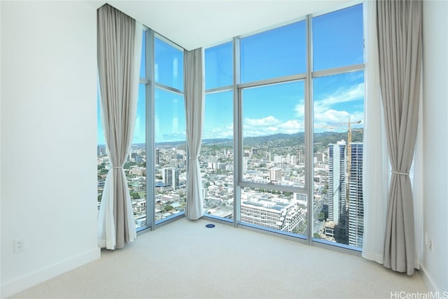 spare room featuring a wall of windows, carpet flooring, and plenty of natural light