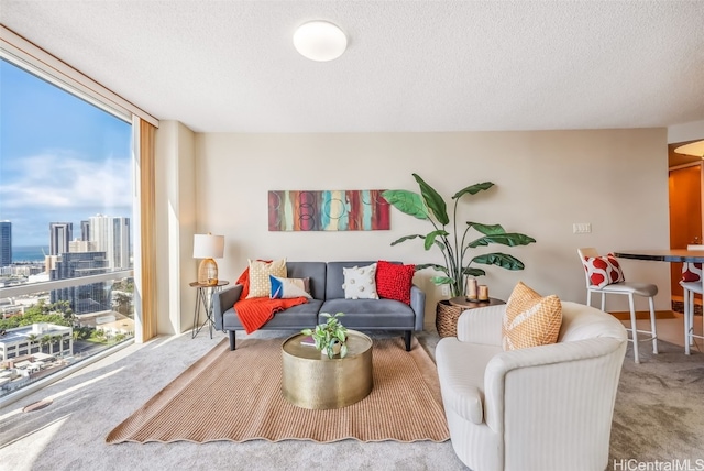 living room with a textured ceiling, carpet floors, and a healthy amount of sunlight