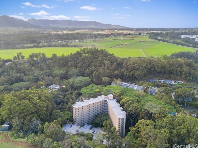 birds eye view of property with a mountain view