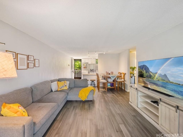 living room featuring rail lighting and hardwood / wood-style floors