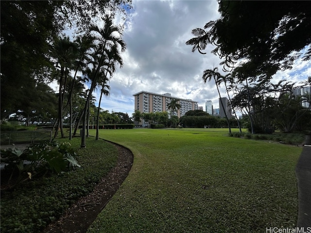 view of community featuring a yard