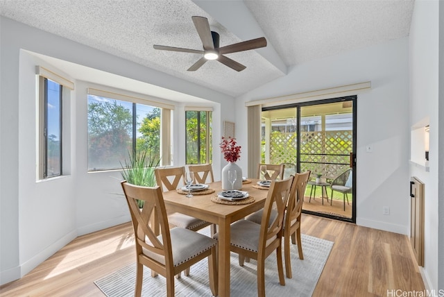 dining room featuring vaulted ceiling, a textured ceiling, a wealth of natural light, and light hardwood / wood-style floors