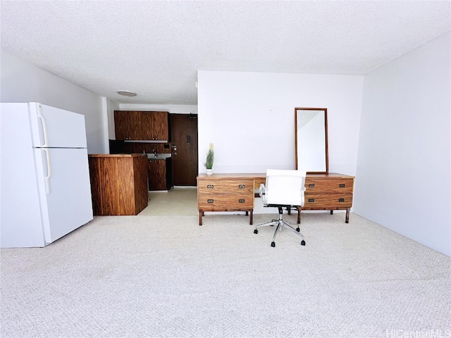 office with a textured ceiling and light colored carpet