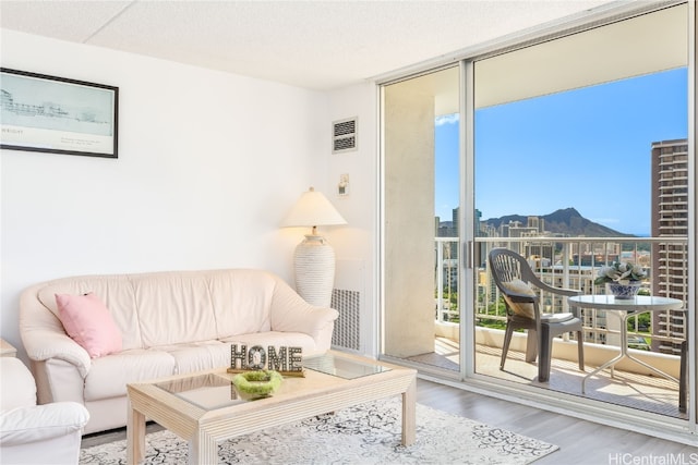 living room featuring hardwood / wood-style floors, a mountain view, and expansive windows