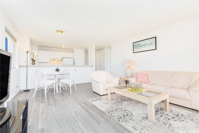 living room with light wood-type flooring