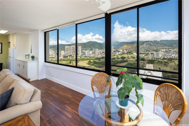 interior space with a view of city, baseboards, a mountain view, and wood finished floors