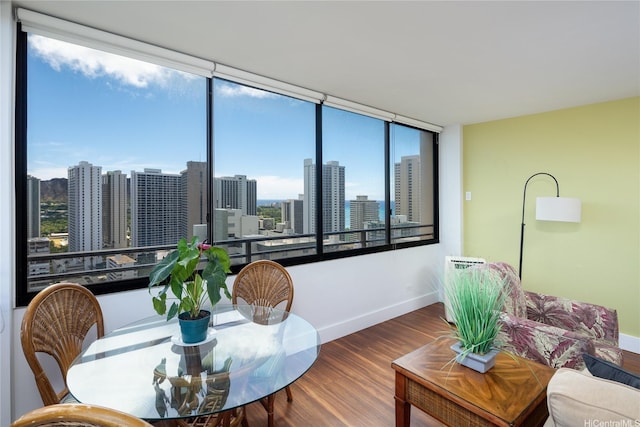 interior space featuring baseboards, wood finished floors, and a view of city