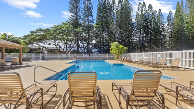 view of pool featuring a patio