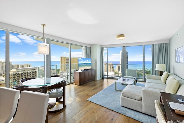 living room featuring light hardwood / wood-style floors and expansive windows